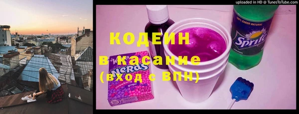шишки Каменногорск