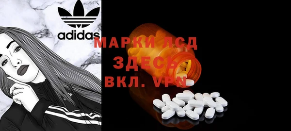 шишки Каменногорск