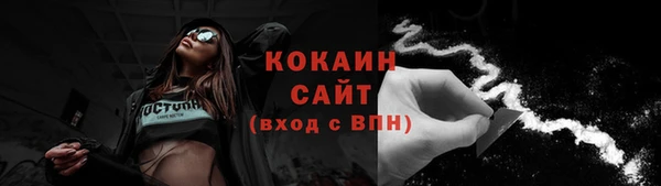 шишки Каменногорск
