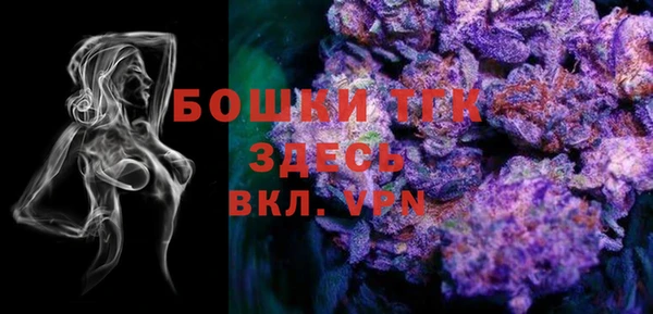 шишки Каменногорск