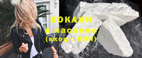 шишки Каменногорск