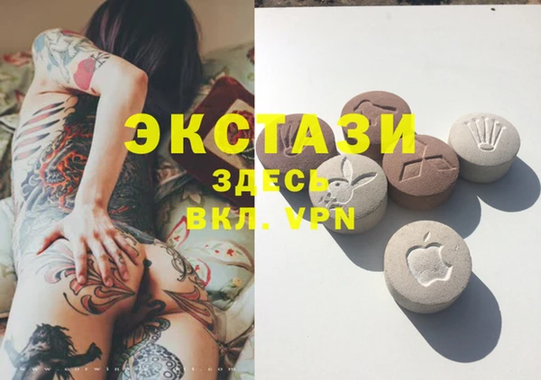 шишки Каменногорск