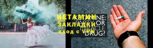 шишки Каменногорск