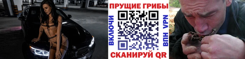 Псилоцибиновые грибы Psilocybine cubensis  Купить  Губкинский 